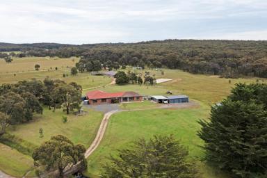 Farm Sold - VIC - Ross Creek - 3351 - Beautifully Renovated Family Home With Space for Everyone!  (Image 2)