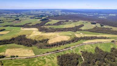 Farm Sold - VIC - Cooriemungle - 3268 - Cooriemungle Out-paddock - Lifestyle- 107.71 Acres  (Image 2)