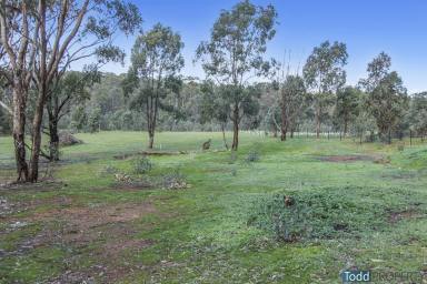 Farm Sold - VIC - Heathcote - 3523 - 2.7 ACRES - WITH A PLANNING PERMIT  (Image 2)