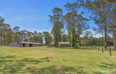 Farm Sold - NSW - Brookfield - 2420 - Live The Country Lifestyle on this 95 Acre Historic Brookfield Farm  (Image 2)