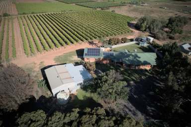 Farm Sold - VIC - Nyah - 3594 - Room For Everyone  (Image 2)