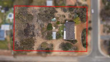 Farm Sold - WA - Pingelly - 6308 - Leave The Colourbond Fences Behind  (Image 2)