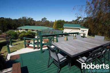 Farm Sold - TAS - York Town - 7270 - Huge Block with Double Dwelling Option  (Image 2)