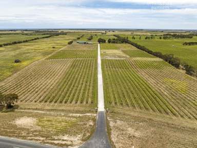 Farm Sold - SA - Wangolina - 5275 - RALPH FOWLER WINES - VINEYARD, CELLAR DOOR, WINE STORAGE, OPEN GRAZING  (Image 2)