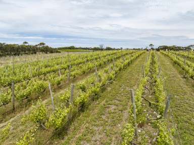 Farm Sold - SA - Wangolina - 5275 - RALPH FOWLER WINES - VINEYARD, CELLAR DOOR, WINE STORAGE, OPEN GRAZING  (Image 2)