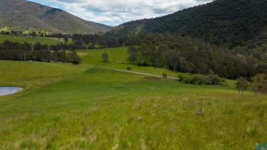 Farm Sold - VIC - Dargo - 3862 - Choose Your Own Adventure!  (Image 2)