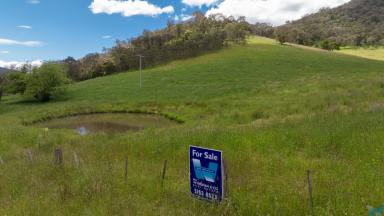 Farm Sold - VIC - Dargo - 3862 - Choose Your Own Adventure!  (Image 2)