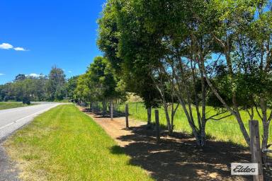 Farm For Sale - QLD - Canina - 4570 - 28.7 acs SOMETHING SPECIAL!  (Image 2)
