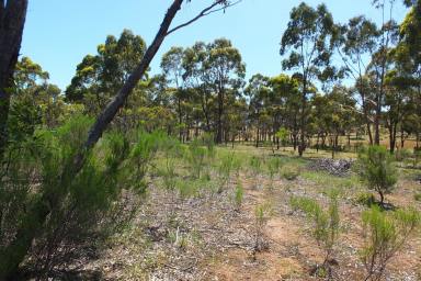 Farm Sold - VIC - Tanwood - 3478 - THE "REAL DEAL' BUSH BLOCK:  20 ACRES (approx)  (Image 2)