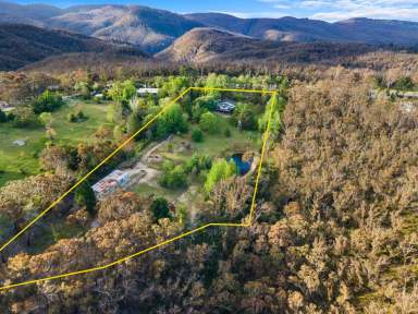 Farm Sold - NSW - Berambing - 2758 - Hidden Mountain Retreat  (Image 2)