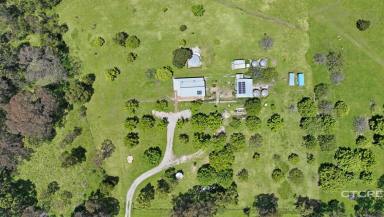 Farm Sold - VIC - W Tree - 3885 - Off-Grid High Country Farmlet  (Image 2)