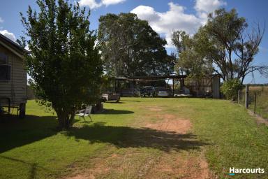 Farm Sold - QLD - Calavos - 4670 - Entry level property only a short drive from Bundaberg  (Image 2)