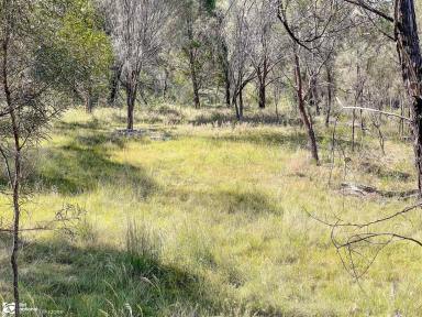 Farm Sold - NSW - Mudgee - 2850 - TREE CHANGE ANYONE?  (Image 2)