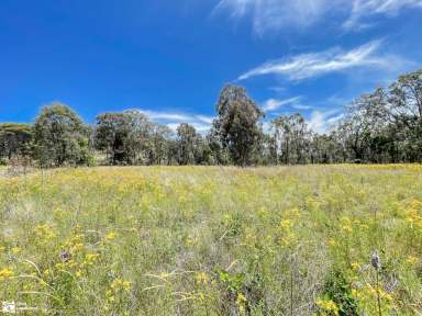 Farm Sold - NSW - Mudgee - 2850 - TREE CHANGE ANYONE?  (Image 2)