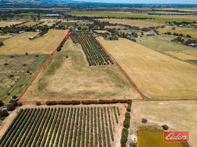 Farm Sold - SA - Gawler Belt - 5118 - UNDER CONTRACT BY JEFF LIND  (Image 2)