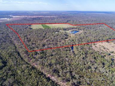 Farm Sold - QLD - Isis River - 4660 - LIME ORCHARD WITH IMMACULATE HOME  (Image 2)