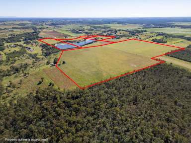 Farm For Sale - QLD - South Isis - 4660 - ABUNDANCE OF WATER WITH GOOD SOIL  (Image 2)