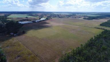 Farm For Sale - QLD - South Isis - 4660 - ABUNDANCE OF WATER WITH GOOD SOIL  (Image 2)