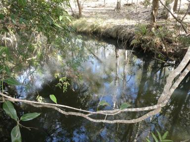 Farm Sold - QLD - South Isis - 4660 - LARGE ACREAGE WITH PERMAENENT CREEK  (Image 2)