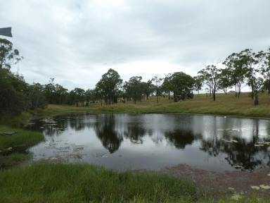 Farm Sold - QLD - Dallarnil - 4621 - "WHEATLY" (One family for over 100 years) Good Mix of Scrub & Forest Country  (Image 2)
