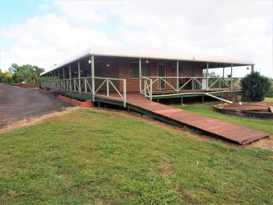 Farm Sold - QLD - Childers - 4660 - SUPERIOR IN EVERY WAY  (Image 2)