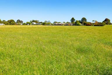 Farm Sold - VIC - Koroit - 3282 - Lifestyle with room to move - 3.126 Acres  (Image 2)