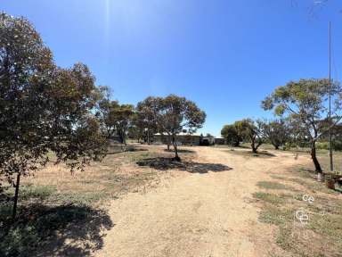 Farm Sold - SA - Mannum - 5238 - Very Affordable Little Acreage  (Image 2)