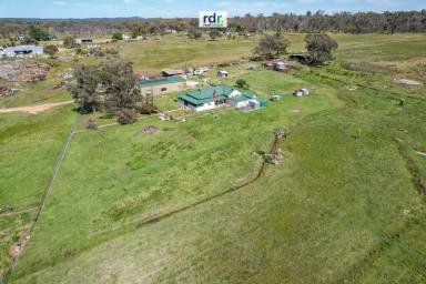 Farm Sold - NSW - Inverell - 2360 - COMFORTABLE, QUIET, COUNTRY LIVING  (Image 2)