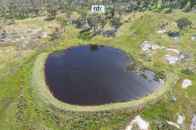 Farm Sold - NSW - Inverell - 2360 - COMFORTABLE, QUIET, COUNTRY LIVING  (Image 2)