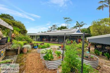 Farm Sold - NSW - The Channon - 2480 - The Truly Sustainable 'Tree House'  (Image 2)