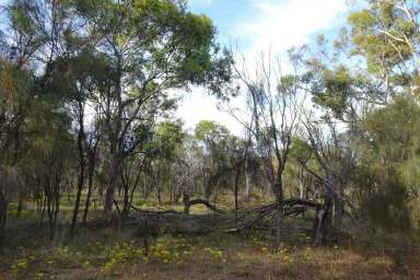 Farm Sold - WA - Nomans Lake - 6312 - Watch The New Shoots Grow  (Image 2)