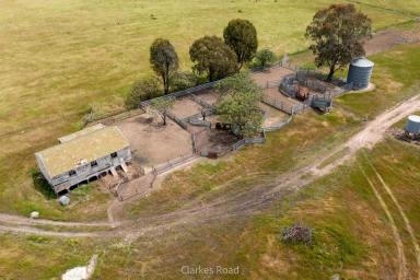 Farm Sold - VIC - Longwood - 3665 - An Outstanding 926 Acre Grazing/Cropping Property With Future Potential  (Image 2)