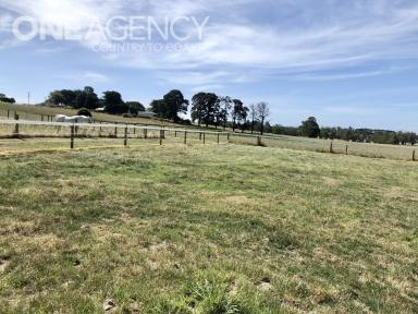 Farm Sold - VIC - Drouin South - 3818 - The perfect horse property with multiple safety fenced paddocks and dual living this is the place for you!  (Image 2)