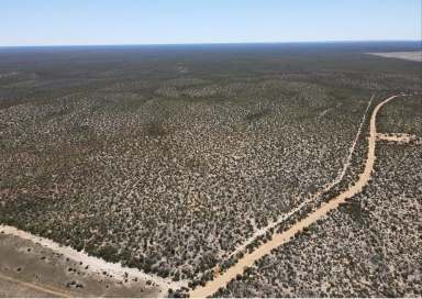 Farm Sold - SA - Sandalwood - 5309 - "BILLIATT PARK"  - 1124 Acres  (Image 2)