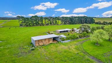 Farm Sold - VIC - Irrewillipe East - 3249 - OUTSTANDING LIVESTOCK OR LIFESTYLE PROPERTY  (Image 2)
