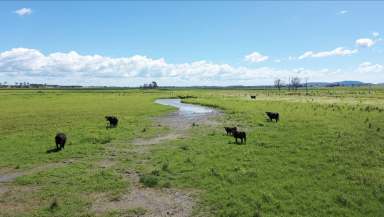 Farm Sold - NSW - Clarenza - 2460 - "Clarries" North Coast grazing at scale  (Image 2)