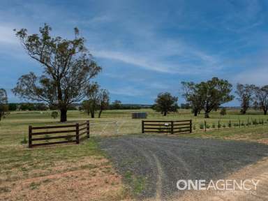 Farm Sold - NSW - Quirindi - 2343 - Sunnybank  (Image 2)