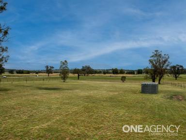 Farm Sold - NSW - Quirindi - 2343 - Sunnybank  (Image 2)