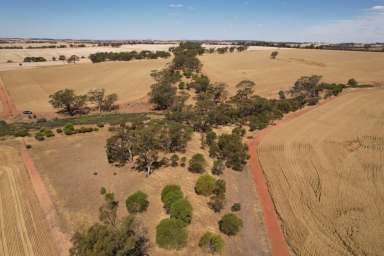 Farm Sold - WA - Jennapullin - 6401 - Ripper Block, Great Area  (Image 2)