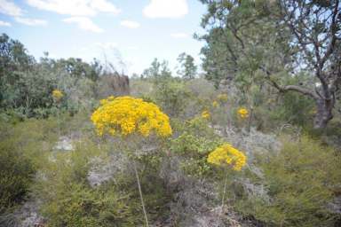 Farm Sold - WA - Bambun - 6503 - Diverse Pristine Flora  (Image 2)