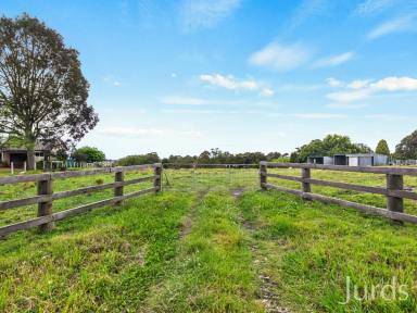Farm Sold - NSW - Bolwarra Heights - 2320 - DEVELOPMENT SITE  (Image 2)