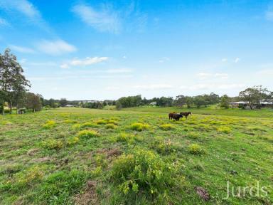 Farm Sold - NSW - Bolwarra Heights - 2320 - DEVELOPMENT SITE  (Image 2)