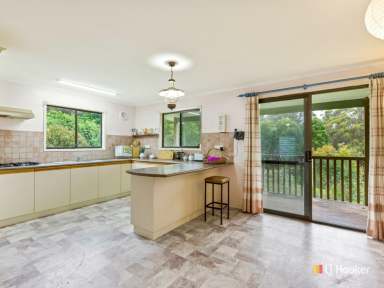 Farm Sold - NSW - Wyndham - 2550 - PRIVACY, PEACEFUL, BEAUTIFUL AND A RUNNING CREEK!  (Image 2)