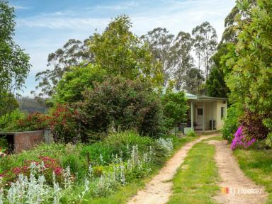 Farm Sold - NSW - Wyndham - 2550 - PRIVACY, PEACEFUL, BEAUTIFUL AND A RUNNING CREEK!  (Image 2)