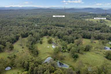 Farm Sold - NSW - Wootton - 2423 - PREMIUM LIFESTYLE ACREAGE  (Image 2)