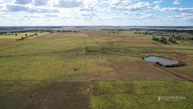Farm For Sale - QLD - Brymaroo - 4403 - BRYMAROO WELL DEVELOPED GRAZING PROPERTY - 272ACRES - PERFECT LOCATION FOR YOUR RURAL ESCAPE  (Image 2)
