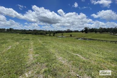 Farm Sold - QLD - Veteran - 4570 - BUILD YOUR DREAM ON THIS 5 ACRES!  (Image 2)