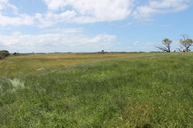 Farm Sold - VIC - Inverloch - 3996 - Grazing Property or Turnout block  (Image 2)