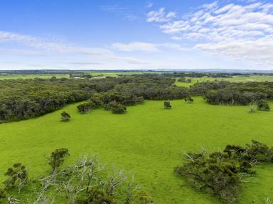 Farm Sold - VIC - Inverloch - 3996 - Grazing Property or Turnout block  (Image 2)
