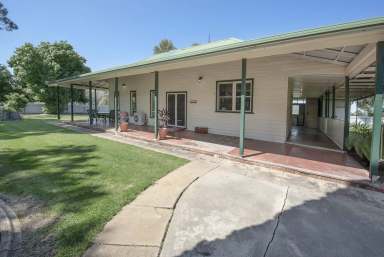 Farm Sold - VIC - Swan Hill - 3585 - Metres from the Murray  (Image 2)